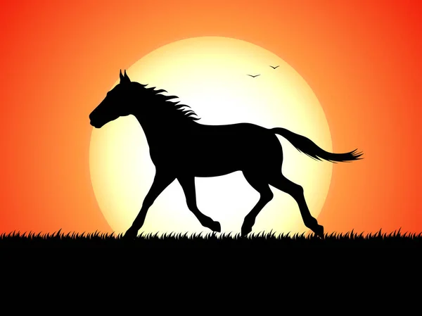 Silhouette of a running horse on sunset background — Stock Vector