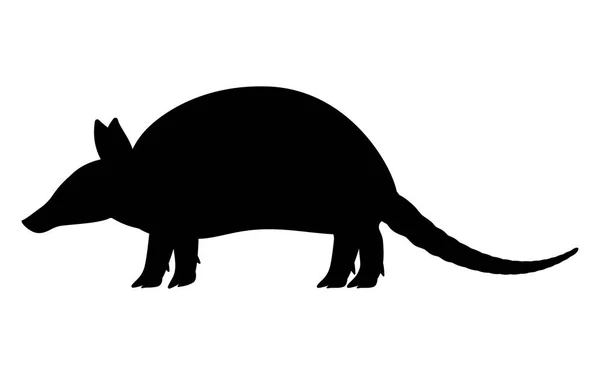 Ilustración vectorial silueta negra armadillo — Vector de stock