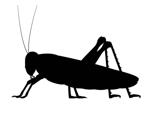 Vector black silhouette of a grasshopper — Stock Vector