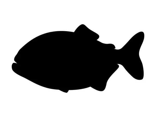 食人鱼黑色轮廓的矢量图示 — 图库矢量图片