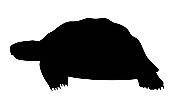 Vector illustratie zwart silhouet van een schildpad — Stockvector