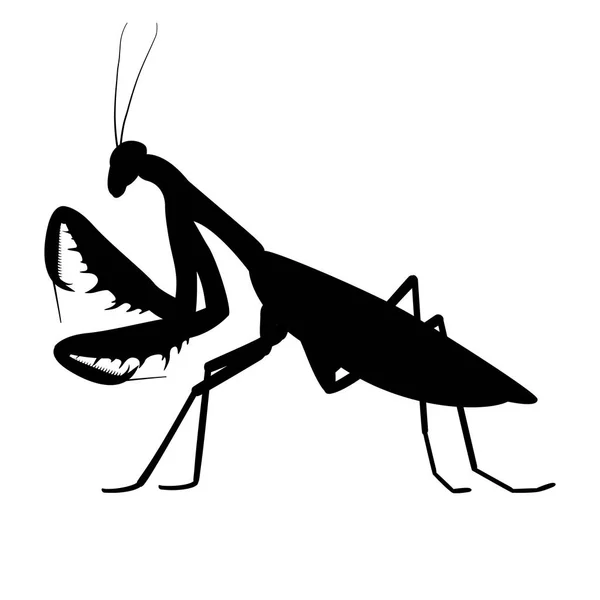 Vector illustratie zwarte silhouet van een Mantis — Stockvector