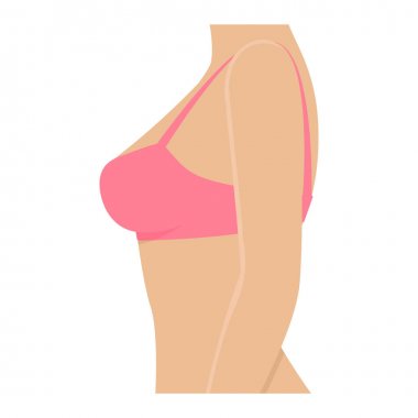 Sütyen içinde kadın göğüsler