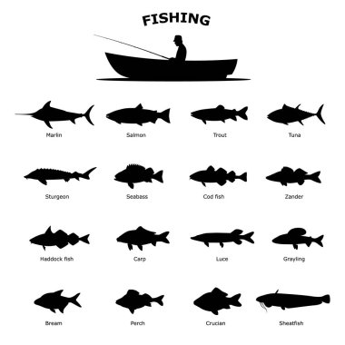 Set of black silhouette of sea river fish clipart