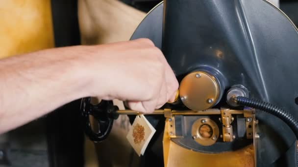 Un hombre controlando el café tostado — Vídeo de stock