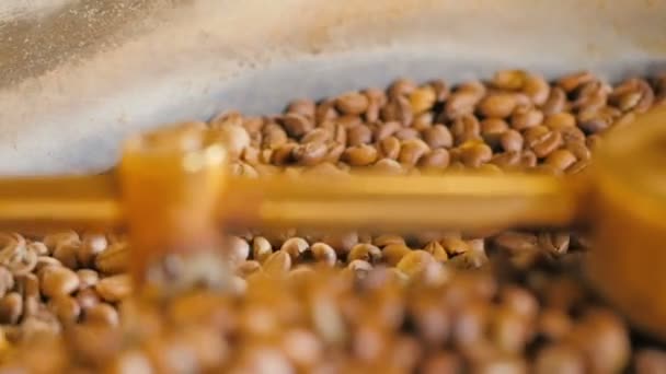 Colling de granos de café — Vídeo de stock