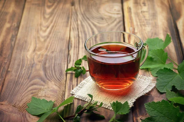 Herbaty Herbata Miętowa Herbaty Ziołowe Liść Mięty Listki Mięty Liści — Zdjęcie stockowe