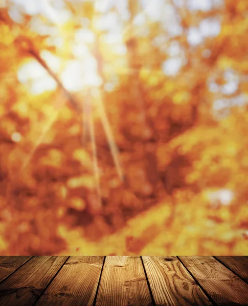 The rays of the autumn sun shine through the leaves. Sunset. Bright natural background. Old wooden table and autumn nature. Golden autumn. Warm day.