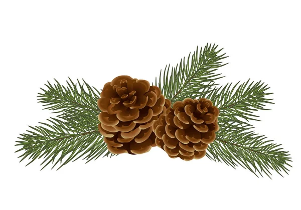 Cute Christmas Composition Tree Branches Cedar Cones Isolated White Background — Stock Photo, Image