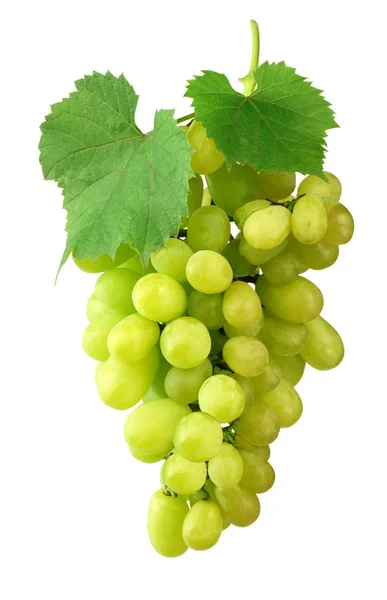 Large Bunch Light Grapes Leaves Isolated Shadow Ingredient Healthy Eating — Stock Photo, Image