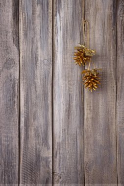 Festival dekor. Eski bir ahşap kapı üzerinde altın çam kozalakları. Konfor ve gelenek. Noel atmosferi. Şirin ıvır zıvır.