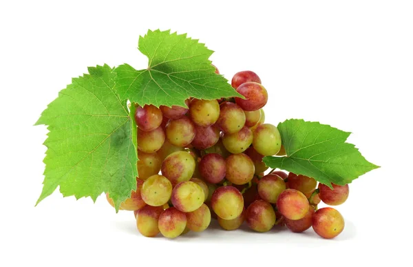 Bunch Fresh Ripe Juicy Grapes Isolated White Fragrant Berry Your — Stock Photo, Image