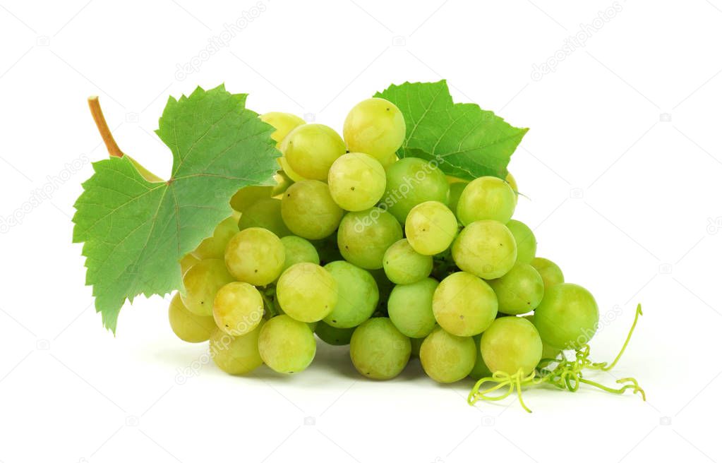 Bunch of fresh ripe juicy grapes isolated on white . A fragrant berry for your health.