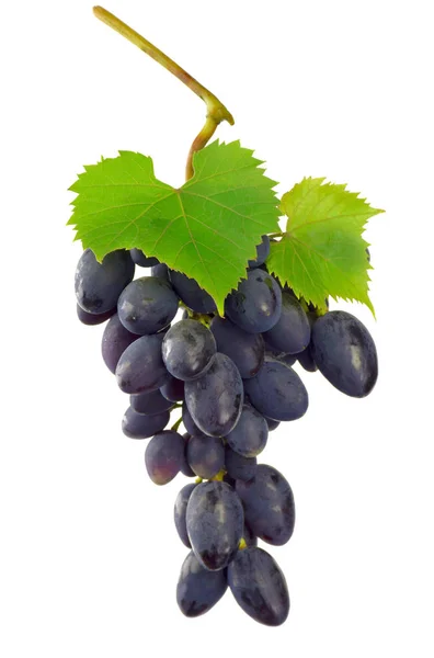 葡萄在白色背景下分离 关门了成熟葡萄酒葡萄 — 图库照片