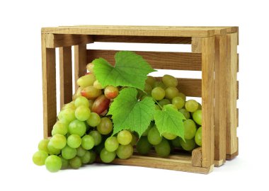 Olgun ışık üzüm devrilmiş bir ahşap kutu içinde. İzole. Hasat. Sonbahar. Şarap yapma. Madde.
