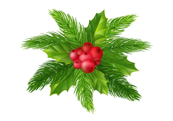 Vector Holly Spar Boom Takken Kerst Ornament Holly Groene Bladeren — Stockfoto