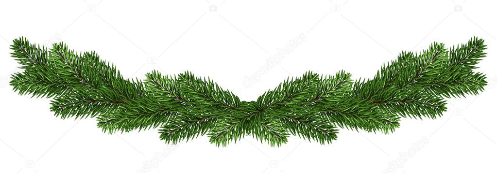 wide Christmas garland of fir branches. isolated on white. fir-tree. panorama. Festive decor.