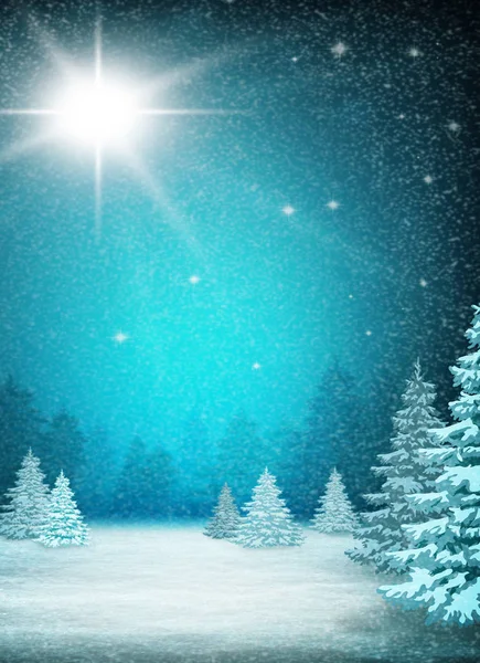 Estrela Natal Brilhante Céu Noturno Inverno Natureza Fundo Floresta Céu — Fotografia de Stock
