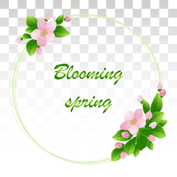 Virágzó Cseresznye Sakura Fióktelep Bimbó Tavasszal Virágzó Koszorú Cseresznyevirág Rózsaszín — Stock Vector