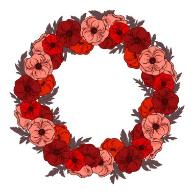 Yaprakları ile kırmızı haşhaş bir çelenk. Beyaz izole. Güzel çiçekler. Çiçek deseni. (ortak poppy, Mısır haşhaş, Mısır gül, alan poppy, Flanders haşhaş ya da kırmızı haşhaş).