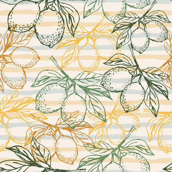Tropical fruit pattern. Lemons with leaves on a striped backgrou — Stock Vector