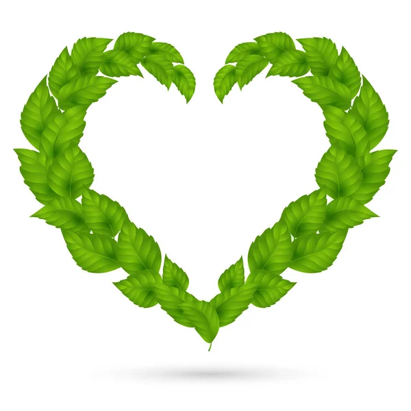 A wreath of leaves.Heart of green leaves.Concept - love nature, — Stock Vector