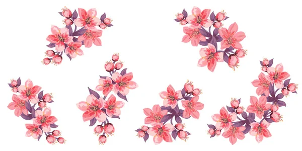 Serie di rami fioriti. Fiori e foglie rosa. Gemme delicate — Foto Stock