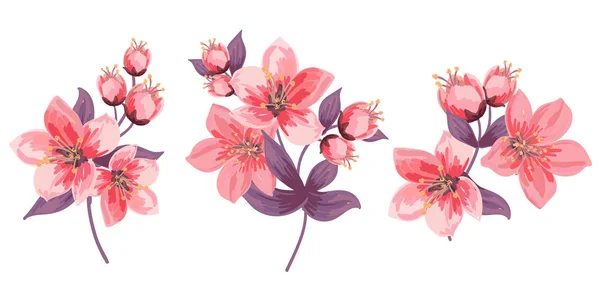 Virágzó ágak beállítása. Rózsaszín virágok és levelek. Finom rügyek — Stock Fotó