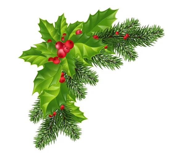 Karácsonyi díszek: karácsonyfa ágak és magyal — Stock Vector