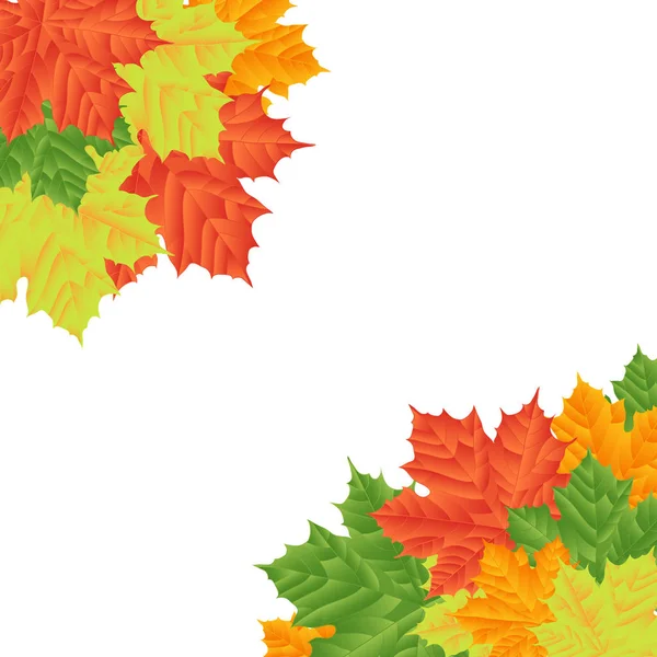 Herbstblätter auf weißem Hintergrund. isoliert ohne Schatten. — Stockfoto