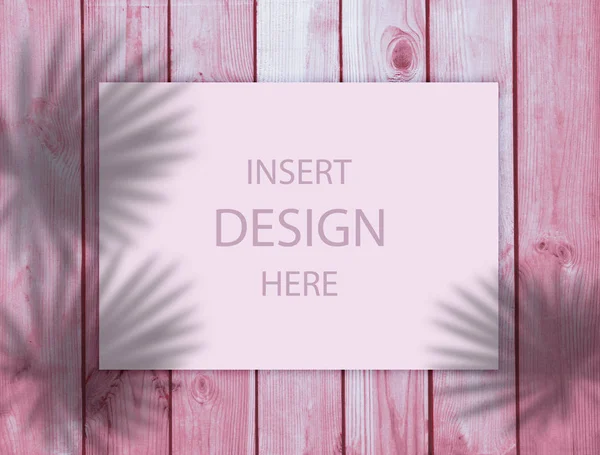 Рожевий фон для дизайну. Тінь тропічного листя на вугрі — стокове фото