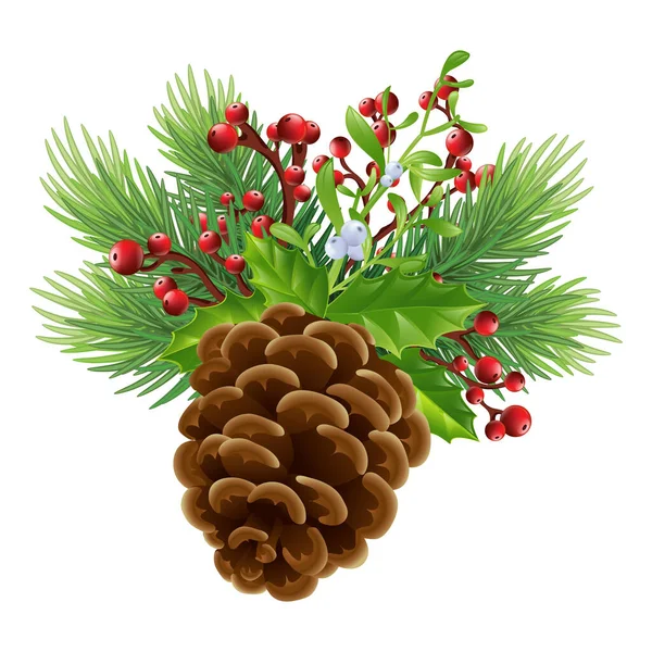 Coni Pino Impianto Invernale Conifere Decorazione Natale Capodanno Botanica Biologia — Foto Stock