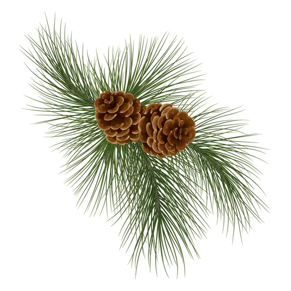 Tannenzweig Weihnachtsbaum Tannenzweig Nadelbaum Mit Zapfen Saftiger Tannenzweig Feiertagsgrüne Dekoration — Stockvektor