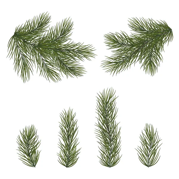 Doğum, Noel, soyut, özgeçmiş, dal, demet, kutlama, Noel, Aralık, dekor, dekorasyon, dekoratif, tasarım, eko, yemyeşil, festival, köknar, mutlu, hurda, tatil, illüstrasyon, izole edilmiş, neşeli, doğa, iğne