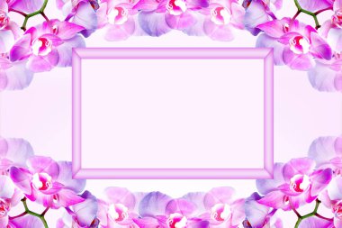 Pembe çerçeveyi, yazı ve orkide çiçekleri için yer açarak oluşturur. Taze çiçekli bahar arkaplanı. Sevgililer Günü 'nün minimal geçmişi.