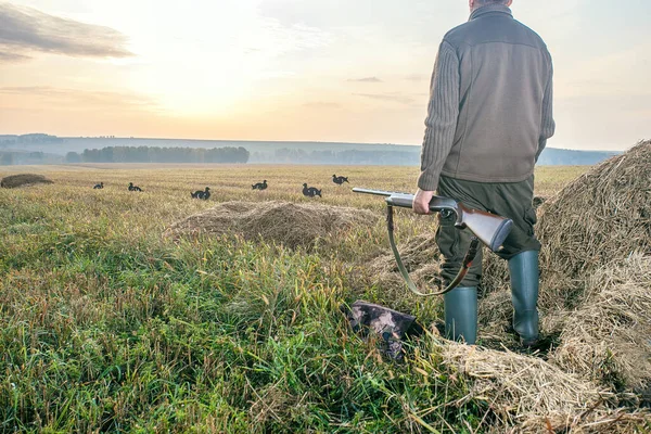 Erkek avcı avlanmaya hazır. Avdaki adam. Tüfekli avcı şafakta.