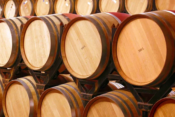 Wine barrels in wine-vaults, Spain.