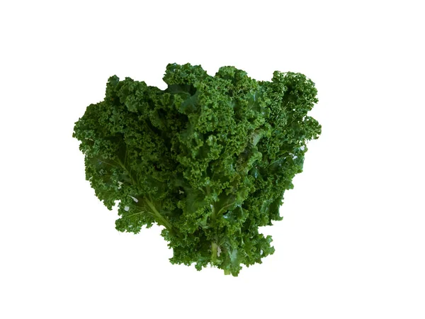 Izolovaný Kale na bílém pozadí — Stock fotografie