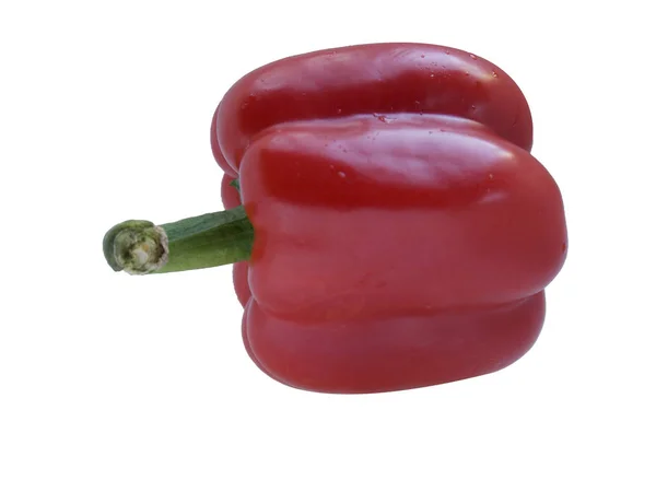 Pimiento Rojo Aislado Sobre Fondo Blanco — Foto de Stock