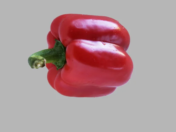 Rode Paprika Geïsoleerd Witte Achtergrond — Stockfoto