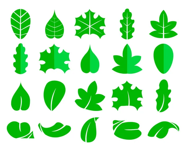Farklı yaprak küme. Vektör simgeler. Tasarım Eko öğeleri beyaz arka plan üzerinde yalıtmak. Ağaç yaprak yeşil, web tasarımınız için doğal yaprak gösterimi — Stok Vektör