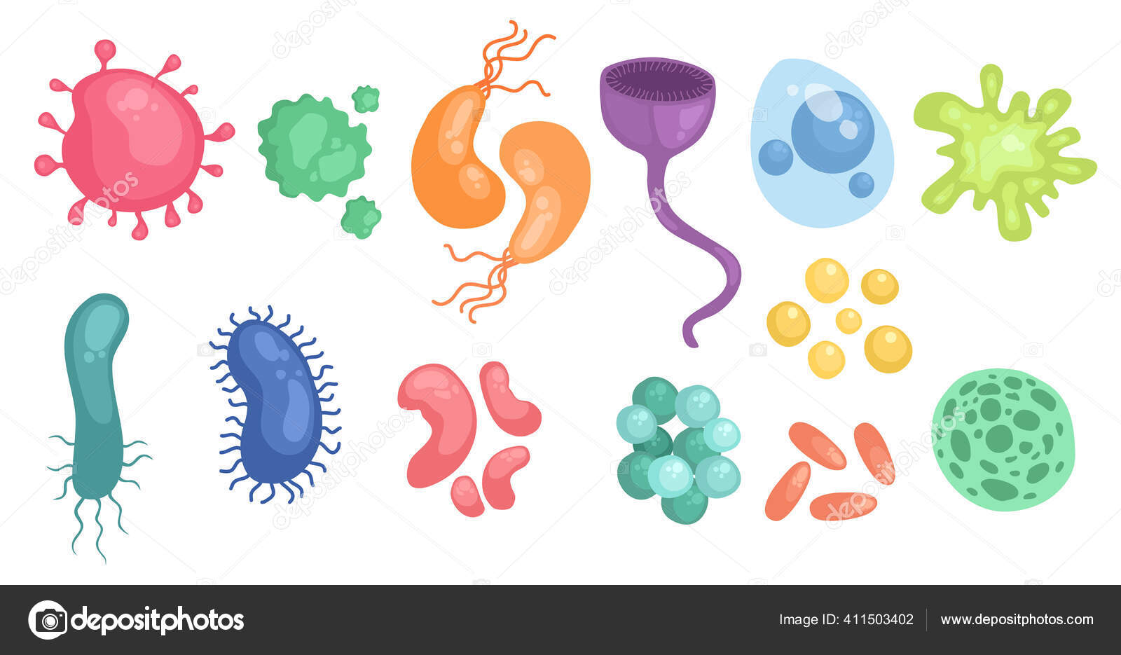 Conjunto colorido de bacterias y gérmenes, microorganismos que causan  enfermedades, diferentes tipos, bacterias, virus, hongos, protozoos.  Ilustración de dibujos animados de estilo plano vectorial aislada sobre  fondo blanco vector, gráfico vectorial ©