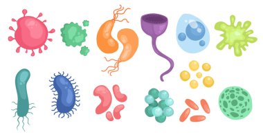 Bakteriler ve mikroplar renkli, mikro organizmalar hastalıklara neden olan nesneler, farklı türler, bakteriler, virüsler, mantarlar, protozoalar. Beyaz arkaplanda izole edilmiş vektör düz çizgi film çizimi