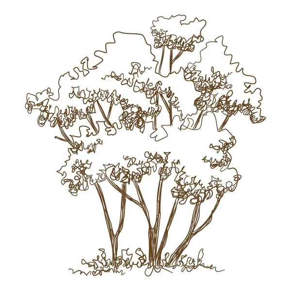 Forêt jeune arbre icône, dessiné à la main et style contour — Image vectorielle