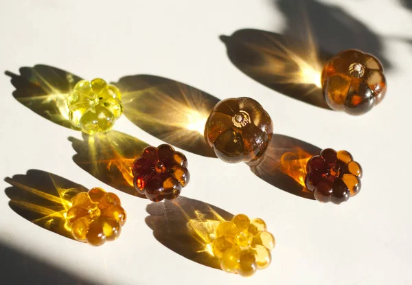 Dekoratif kabaklar Parlatıcı güneşin