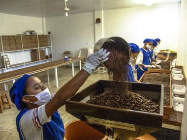 Mococa, SP, Brasil. - MAY 1, 2005 : Linha de produo da torrefadora de caf da Fazenda Pessegueiro em Mococa