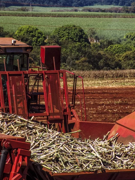 Máquina Hace Plantación Caña Azúcar Una Granja Estado Sao Paulo —  Fotos de Stock