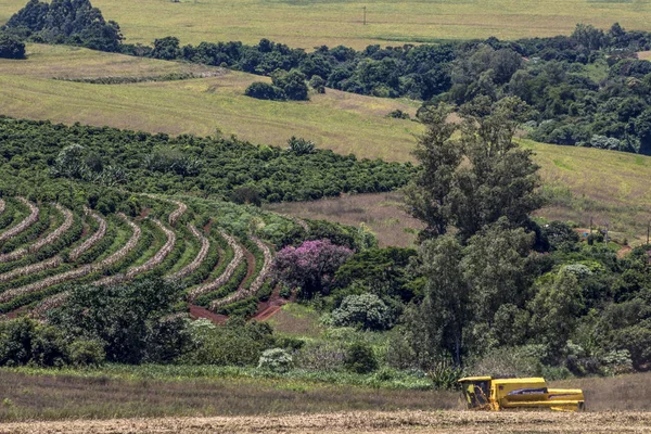 Vista 做帕拉伊索 巴拉那州 2013年2月28日 在贝拉市的一个农场上的大豆机械化收获帕拉伊索 — 图库照片