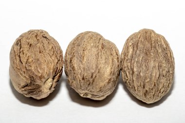 Küçük Hindistan cevizi baharat beyaz arka plan üzerinde izole