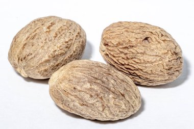 Küçük Hindistan cevizi baharat beyaz arka plan üzerinde izole